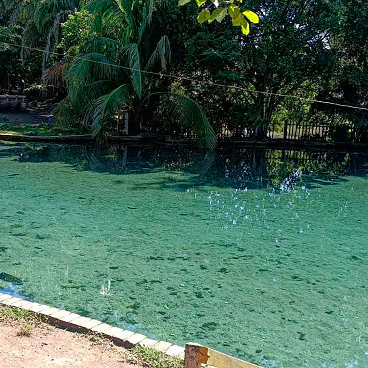 Balneário Lago Azul está na zona rural do município de Mirassol D’Oeste – MT, cerca de 12 km do centro da cidade e aproximadamente 1 hora de carro saindo de Cáceres – MT. Balneário Lago Azul está na zona rural do município de Mirassol D’Oeste – MT, cerca de 12 km do centro da cidade e aproximadamente 1 hora de carro saindo de Cáceres – MT